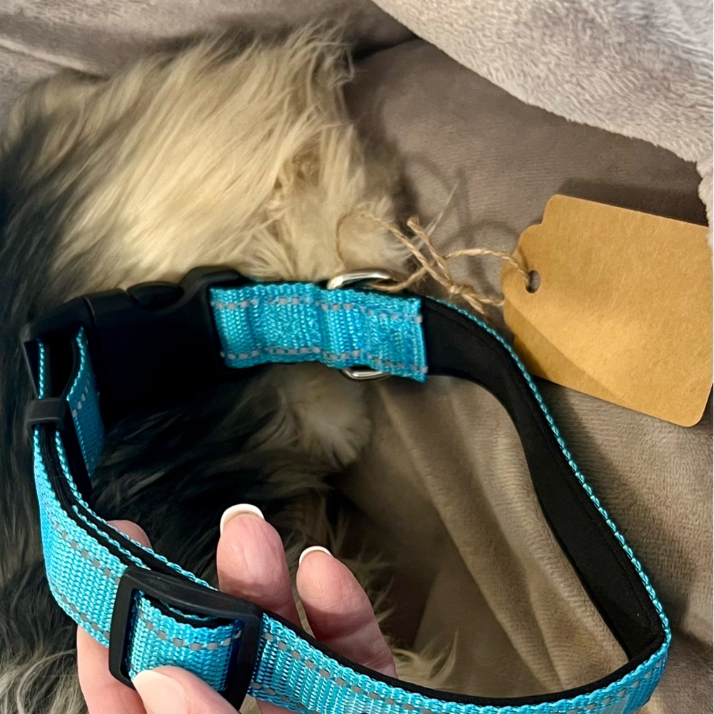 Turquoise Dog Collar. Size M/L.  Heavy duty material.  NWOT.